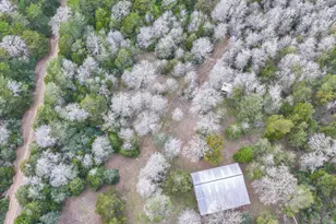 1042 Black Forest Ln, Cat Spring, TX 78933 - Photo 35