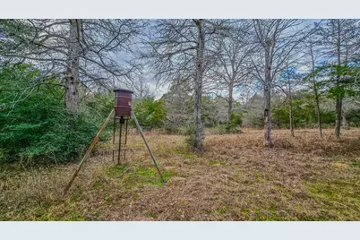 1042 Black Forest Ln, Cat Spring, TX 78933 - Photo 29