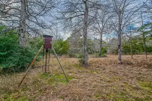 1042 Black Forest Ln, Cat Spring, TX 78933 - Photo 29