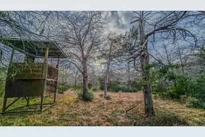 1042 Black Forest Ln, Cat Spring, TX 78933 - Photo 27