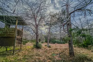 1042 Black Forest Ln, Cat Spring, TX 78933 - Photo 27