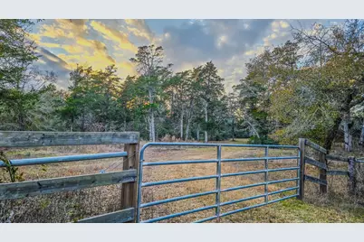 1042 Black Forest Ln, Cat Spring, TX 78933 - Photo 3