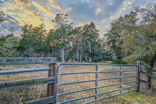 1042 Black Forest Ln, Cat Spring, TX 78933 - Photo 3