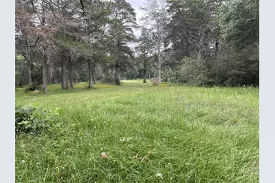 1042 Black Forest Ln, Cat Spring, TX 78933 - Photo 49