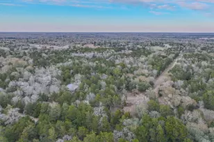 1042 Black Forest Ln, Cat Spring, TX 78933 - Photo 19