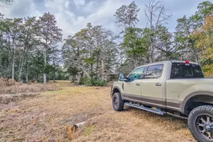 1042 Black Forest Ln, Cat Spring, TX 78933 - Photo 7