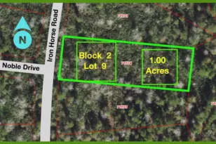 242 Iron Horse Rd, New Waverly, TX 77358 - Photo 1