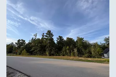 242 Iron Horse Road, New Waverly, TX 77358 - Photo 3