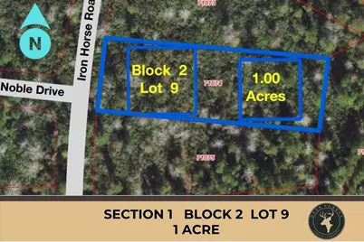 242 Iron Horse Road, New Waverly, TX 77358 - Photo 1