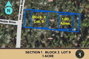 242 Iron Horse Rd, New Waverly, TX 77358 - Photo 1