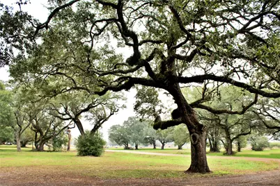 1630 Montezuma Street, Columbus, TX 78934 - Photo 41