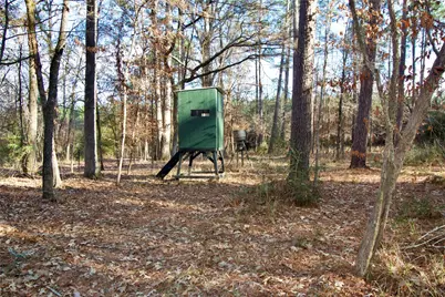 1497 County Road 1170, Kennard, TX 75847 - Photo 25