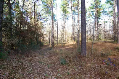 1497 County Road 1170, Kennard, TX 75847 - Photo 11