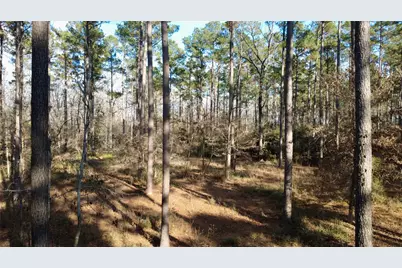 1497 County Road 1170, Kennard, TX 75847 - Photo 3