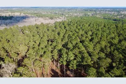 1497 County Road 1170, Kennard, TX 75847 - Photo 5