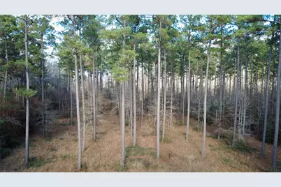 1497 County Road 1170, Kennard, TX 75847 - Photo 1