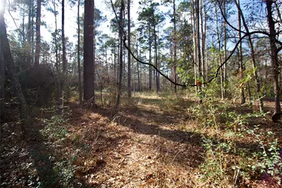 1497 County Road 1170, Kennard, TX 75847 - Photo 17