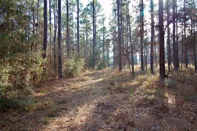 1497 County Road 1170, Kennard, TX 75847 - Photo 13