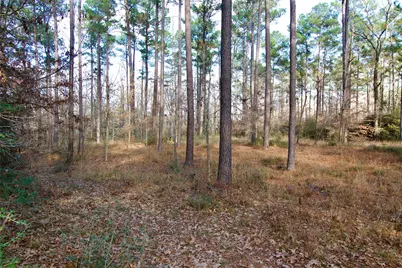 1497 County Road 1170, Kennard, TX 75847 - Photo 9