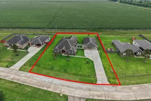 3911 Palm Crest Dr, Rosharon, TX 77583 - Photo 3