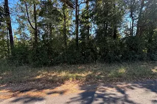 0 Old Hwy 35 N, Livingston, TX 77351 - Photo 1