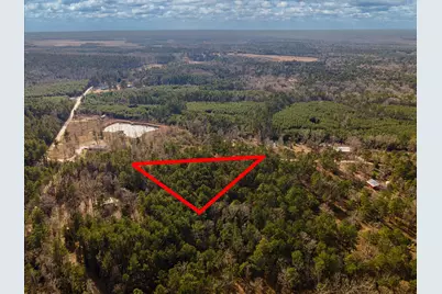 Tbd County Road 1172, Kennard, TX 75858 - Photo 15