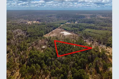 Tbd County Road 1172, Kennard, TX 75858 - Photo 13