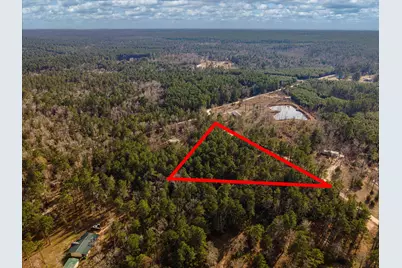 Tbd County Road 1172, Kennard, TX 75858 - Photo 11