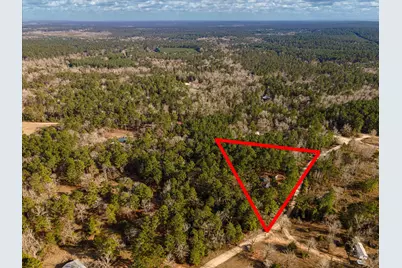 Tbd County Road 1172, Kennard, TX 75858 - Photo 7