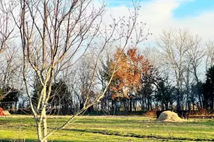 4085 Nicholson Lake Rd, Chappell Hill, TX 77426 - Photo 17