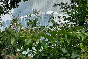 3400 Timmons Ln, Houston, TX 77027 - Photo 1