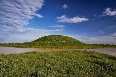 16843 Old Wagon Way, Hockley, TX 77447 - Photo 43