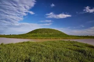 16843 Old Wagon Wy, Hockley, TX 77447 - Photo 43