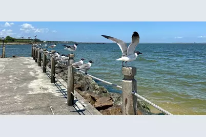 610 Lost Creek Drive, Baytown, TX 77523 - Photo 47