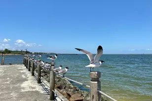 610 Lost Crk Dr, Baytown, TX 77523 - Photo 47