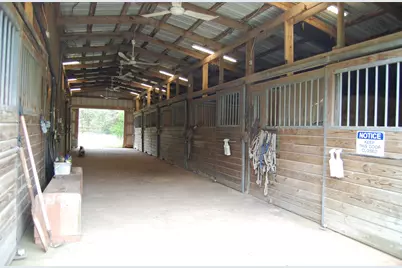 20075 Forestview Drive, Magnolia, TX 77355 - Photo 7