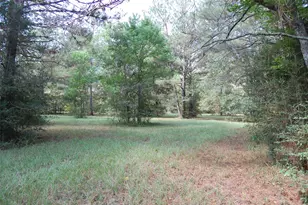 20075 Forestview Dr, Magnolia, TX 77355 - Photo 17