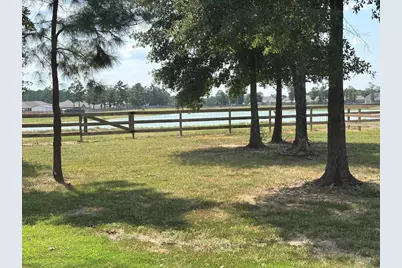 6263 Rolling Hills Road, Conroe, TX 77303 - Photo 7