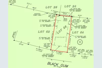 9764 Black Gum, Willis, TX 77318 - Photo 3