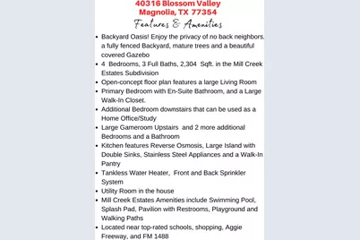 40316 Blossom Valley Lane, Magnolia, TX 77354 - Photo 3