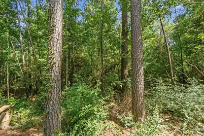 165 Black Walnut, Livingston, TX 77351 - Photo 35