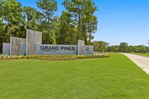 16546 Pinecone Grv St, Magnolia, TX 77355 - Photo 17