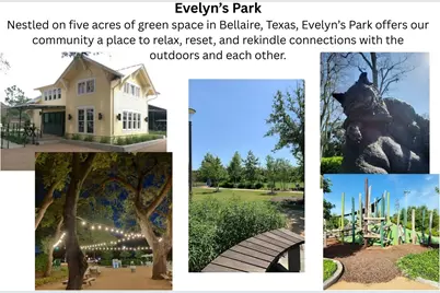 4536 Sunburst Street, Bellaire, TX 77401 - Photo 31