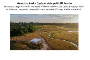 4536 Sunburst St, Bellaire, TX 77401 - Photo 33