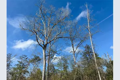 11111 E US Hwy 190, Jasper, TX 75951 - Photo 15