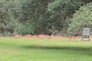 2003 Oak Ridge Rd, Weimar, TX 78962 - Photo 31