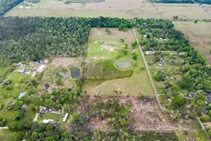 Tract 13 14 Pickering Rd, Conroe, TX 77302 - Photo 13