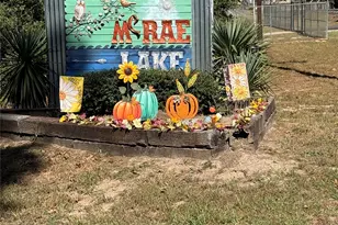 Tbd4 Lake Shore Dr, Conroe, TX 77303 - Photo 1