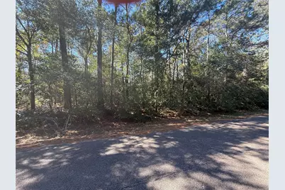 Tbd4 Lake Shore Drive, Conroe, TX 77303 - Photo 5