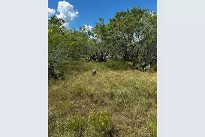 Lot 1 County Road 420, Waelder, TX 78959 - Photo 3